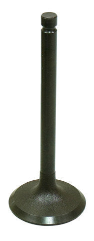 Namura Intake Valve