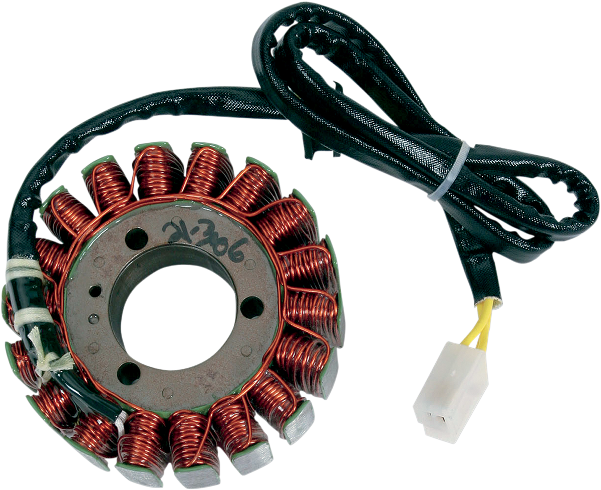Rick's Motorsport Electric Stator