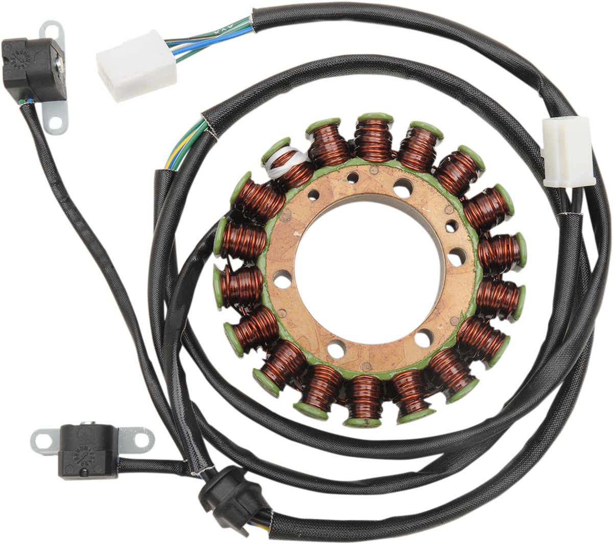 Rick's Motorsport Electric Stator