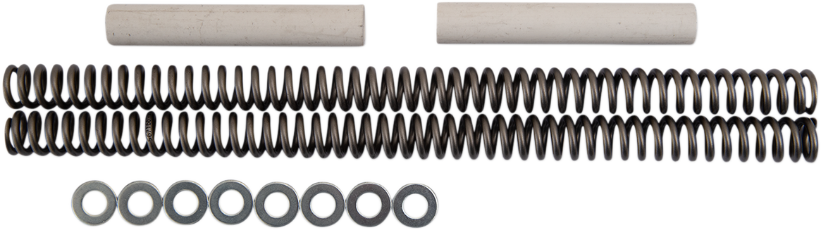 Race Tech Fork Springs