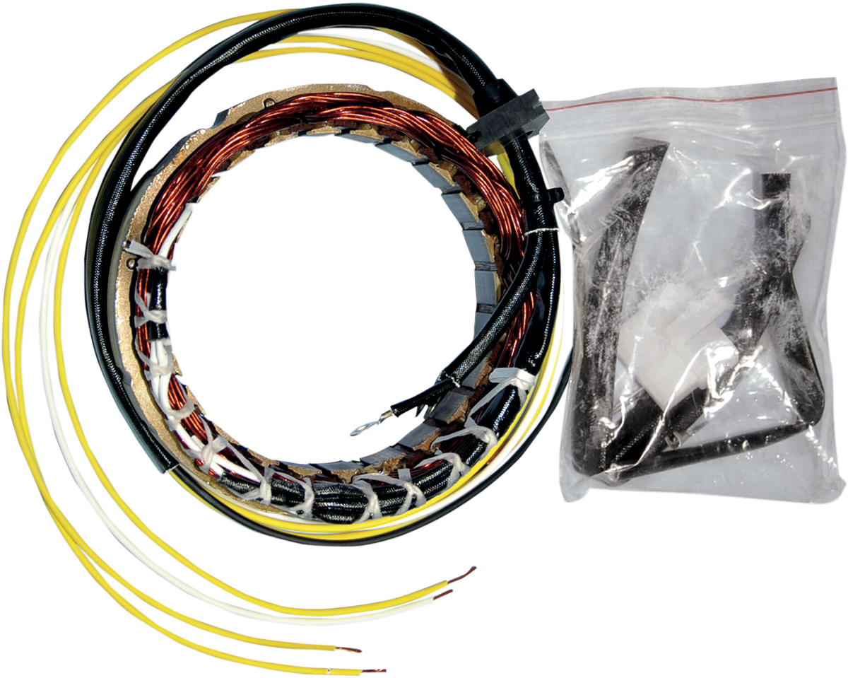 Rick's Motorsport Electric Stator