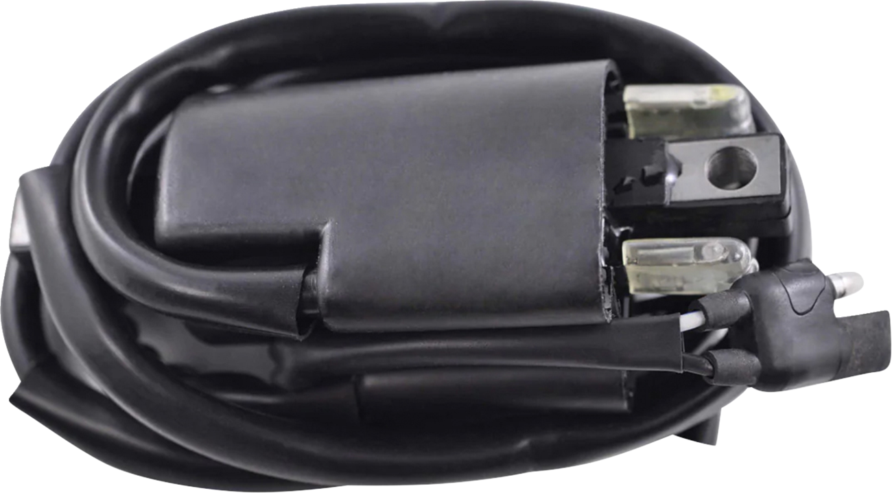 RM Stator Ignition Coil - External
