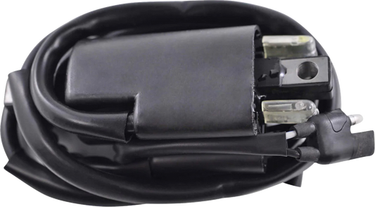 RM Stator Ignition Coil - External