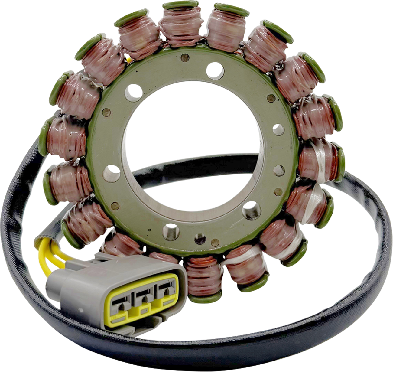 Rick's Motorsport Electric Stator