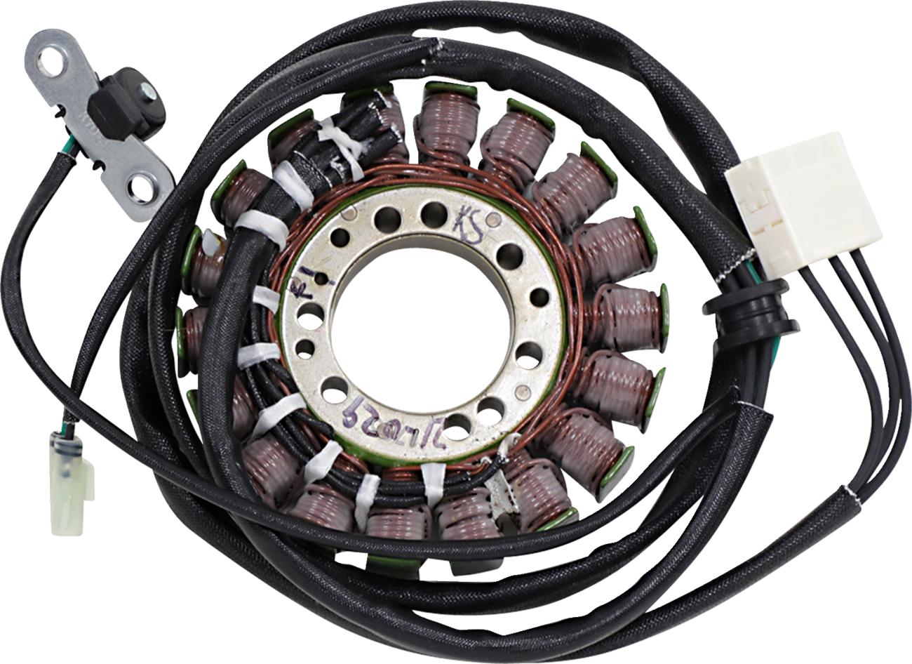 Rick's Motorsport Electric Stator