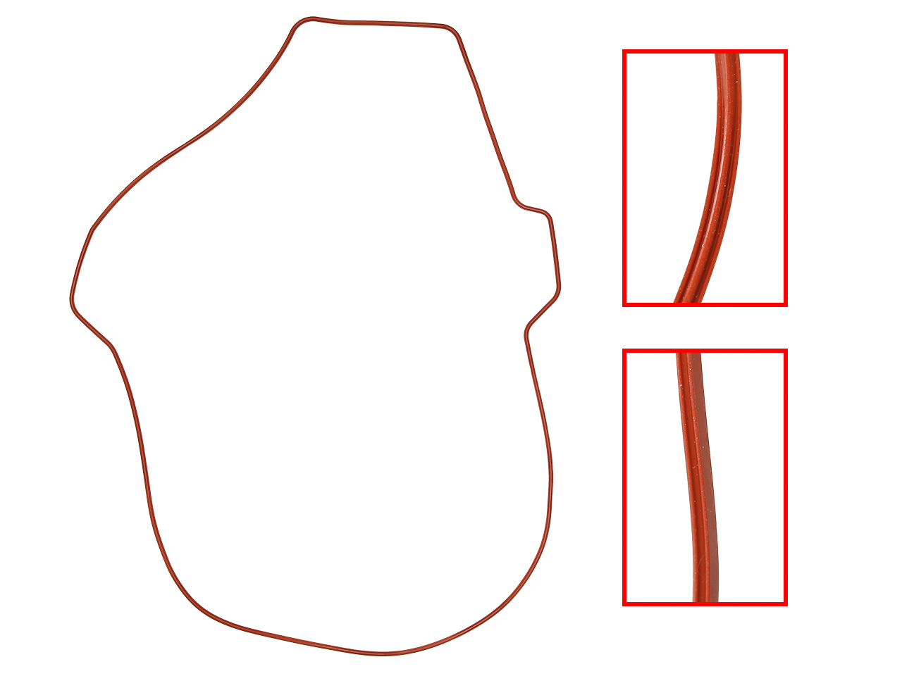SP1 Chaincase Cover Gasket