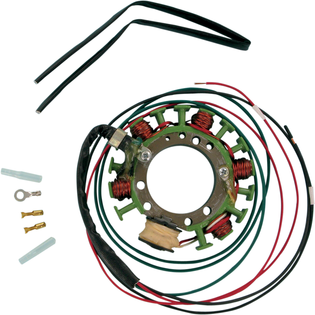 Rick's Motorsport Electric Stator