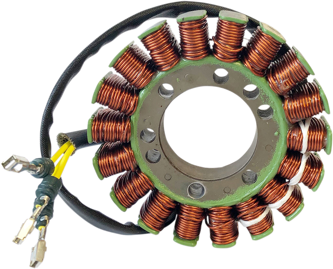 Rick's Motorsport Electric Stator