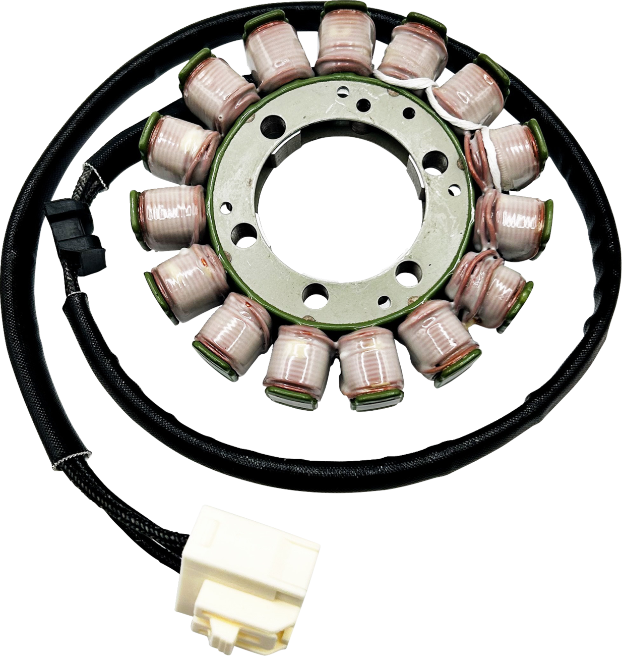 Rick's Motorsport Electric Stator