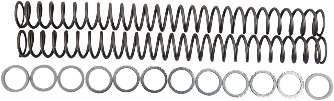 Race Tech Fork Springs