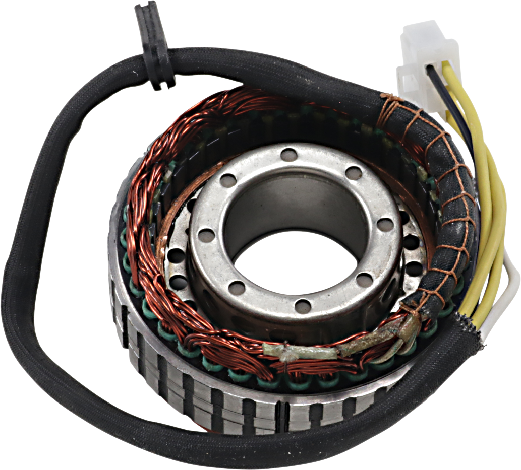 Rick's Motorsport Electric Stator