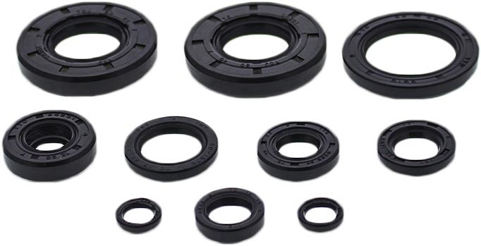 VERTEX Oil Seal Kit