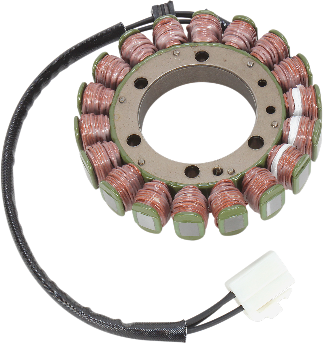 Rick's Motorsport Electric Stator