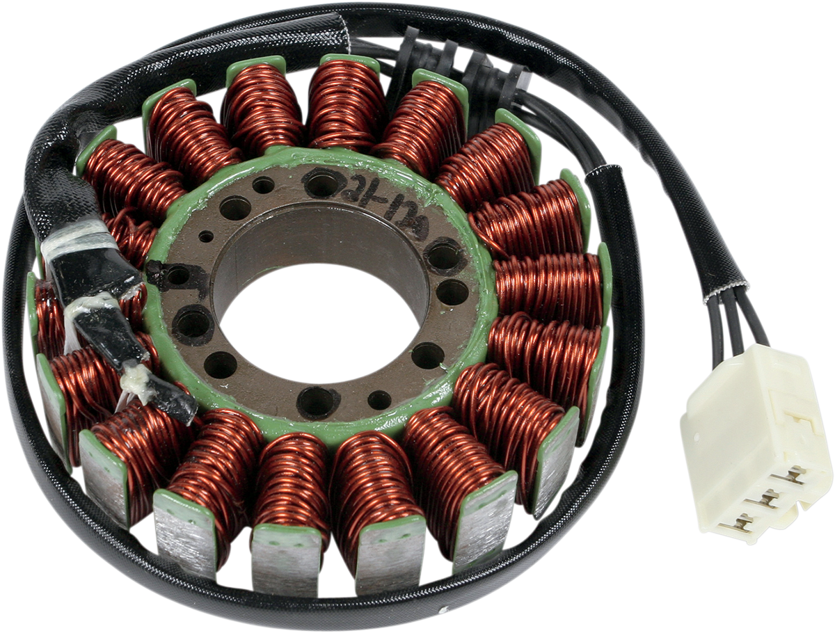 Rick's Motorsport Electric Stator