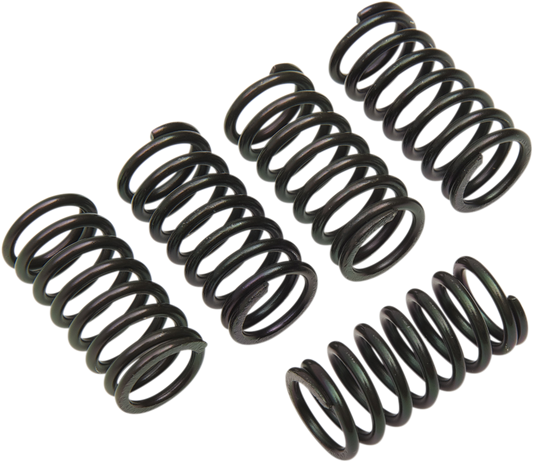 Barnett Clutch Spring Set