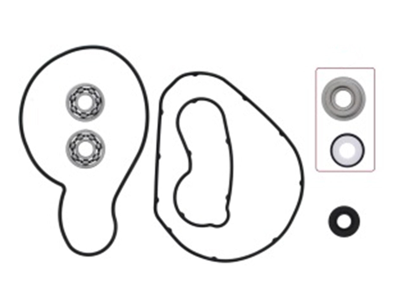SP1 Water Pump Repair Kit