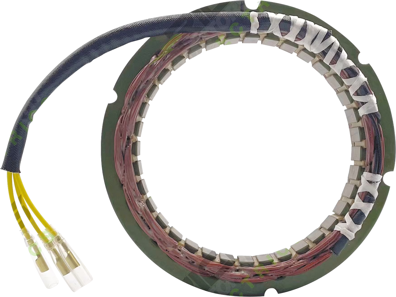 Rick's Motorsport Electric Stator