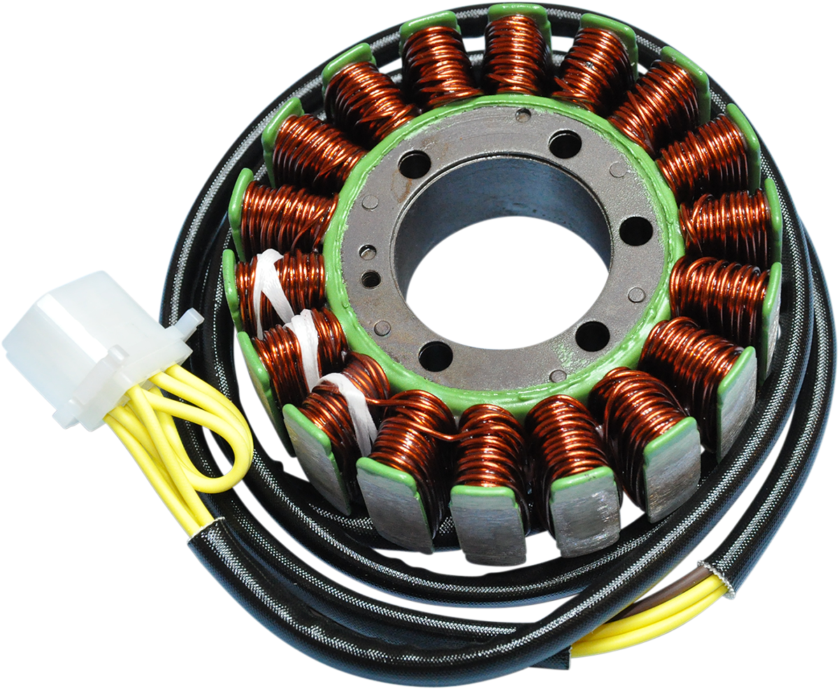 Rick's Motorsport Electric Stator