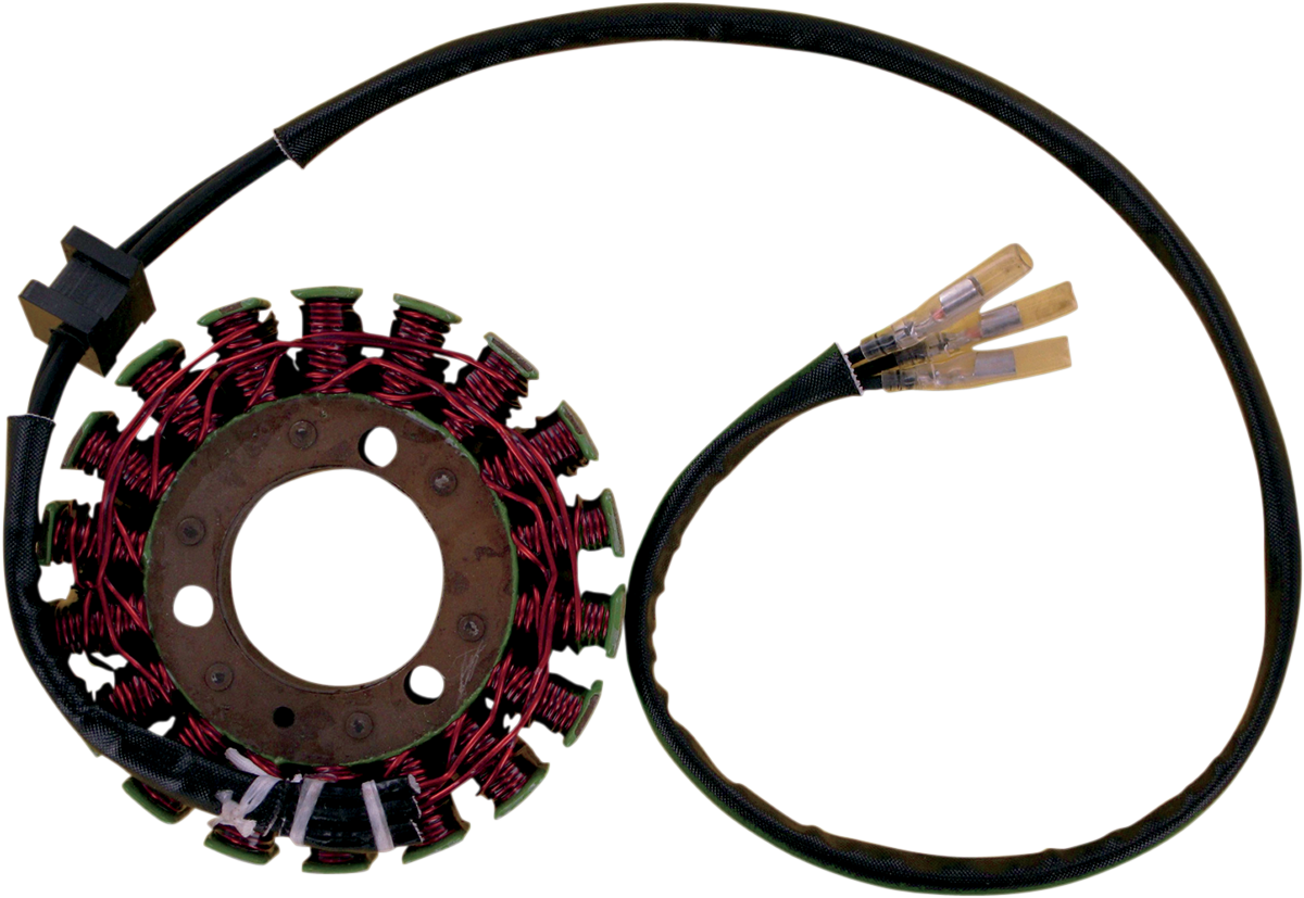 Rick's Motorsport Electric Stator