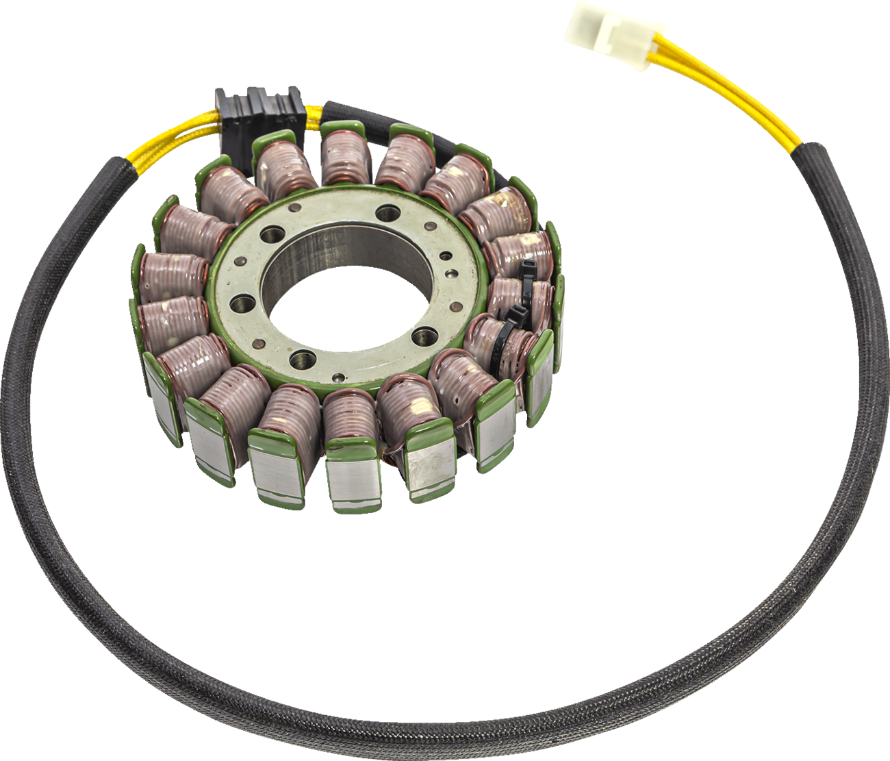 Rick's Motorsport Electric Stator
