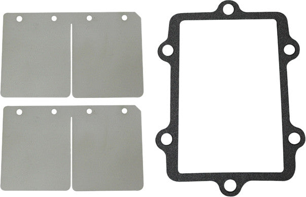 SP1 Reed Valve Rebuild Kit