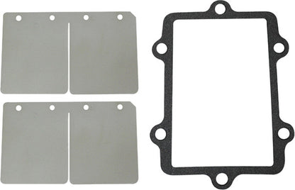 SP1 Reed Valve Rebuild Kit