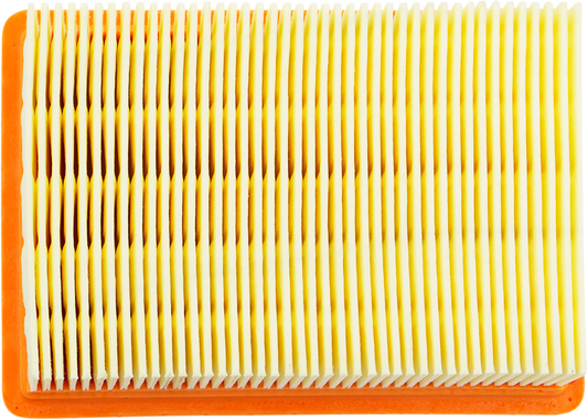 HIFLOFILTRO Scooter Air Filter