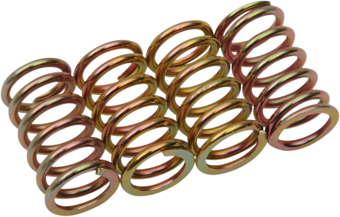Barnett Clutch Spring Kit