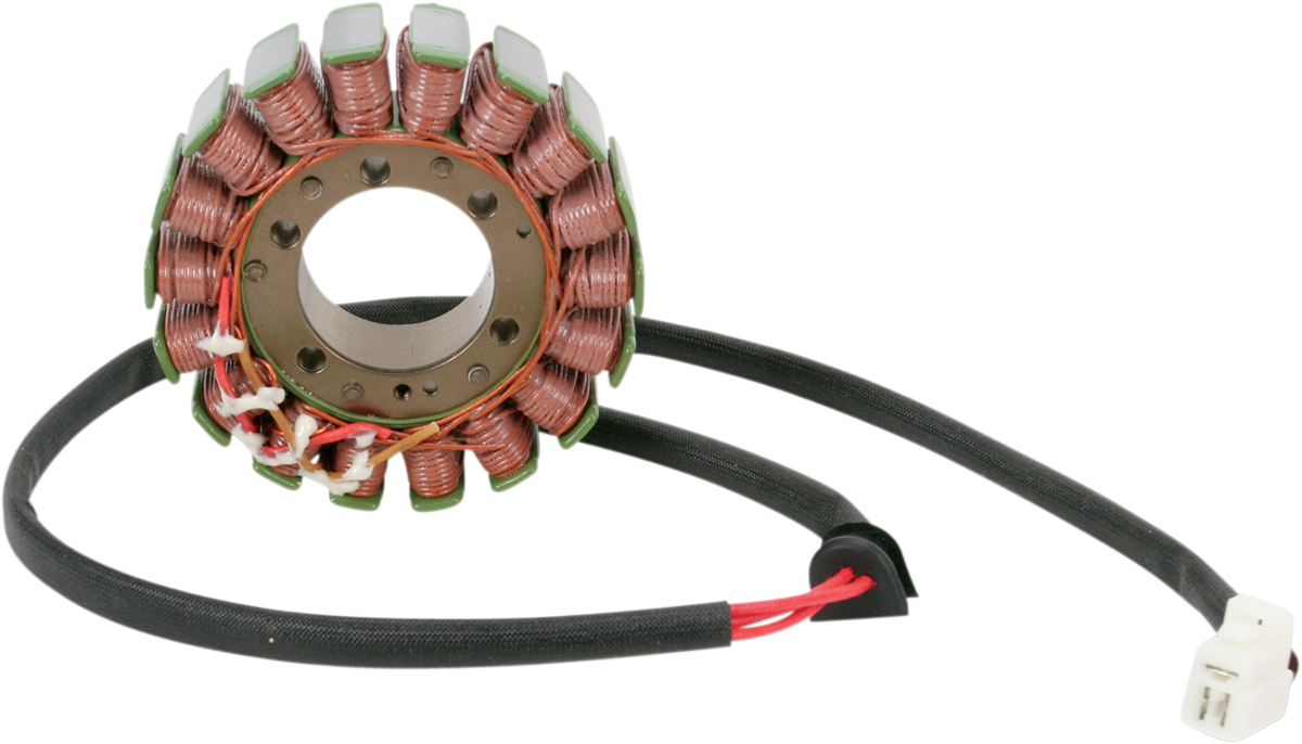 Rick's Motorsport Electric Stator