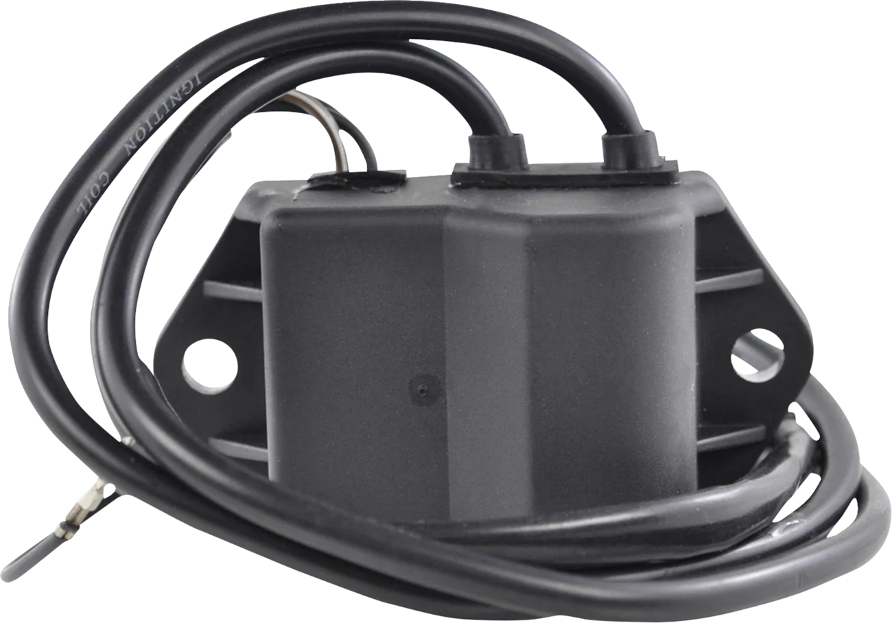 RM Stator CDI Box
