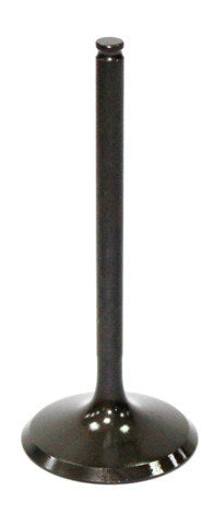 Namura Intake Valve