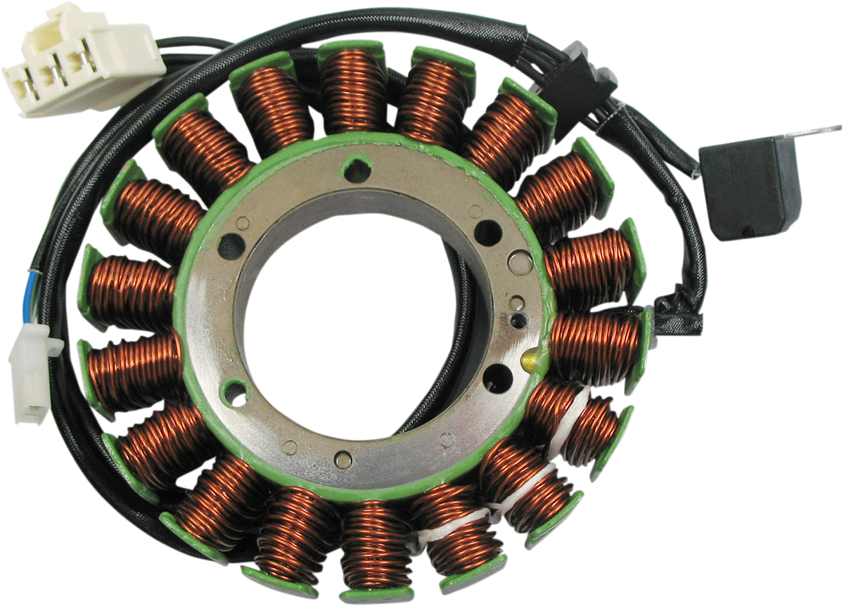 Rick's Motorsport Electric Stator