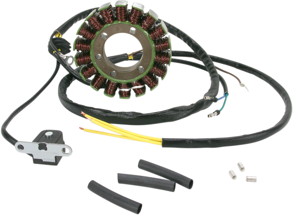 Rick's Motorsport Electric Stator