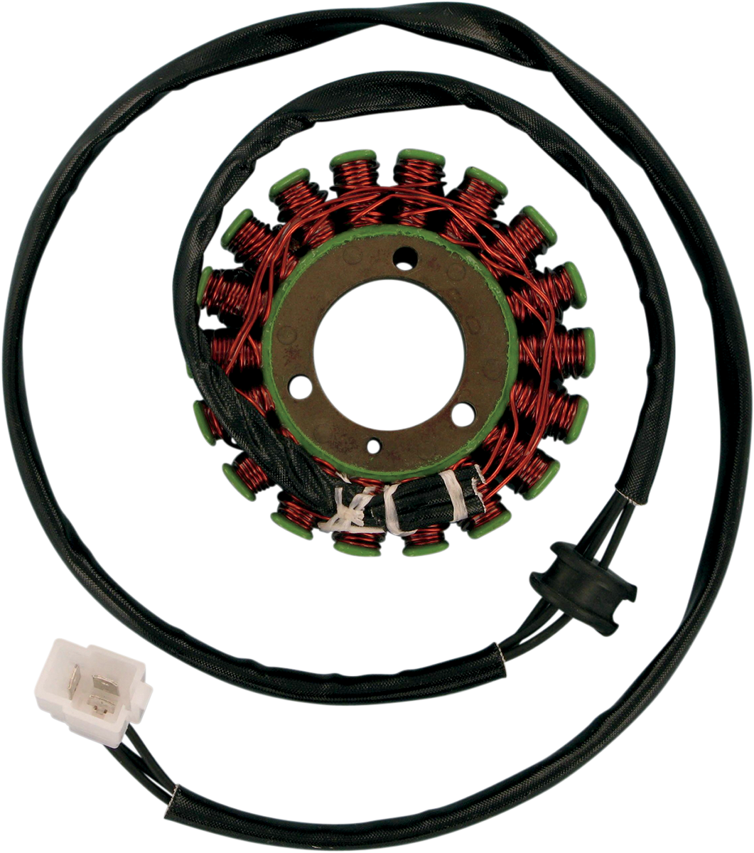 Rick's Motorsport Electric Stator