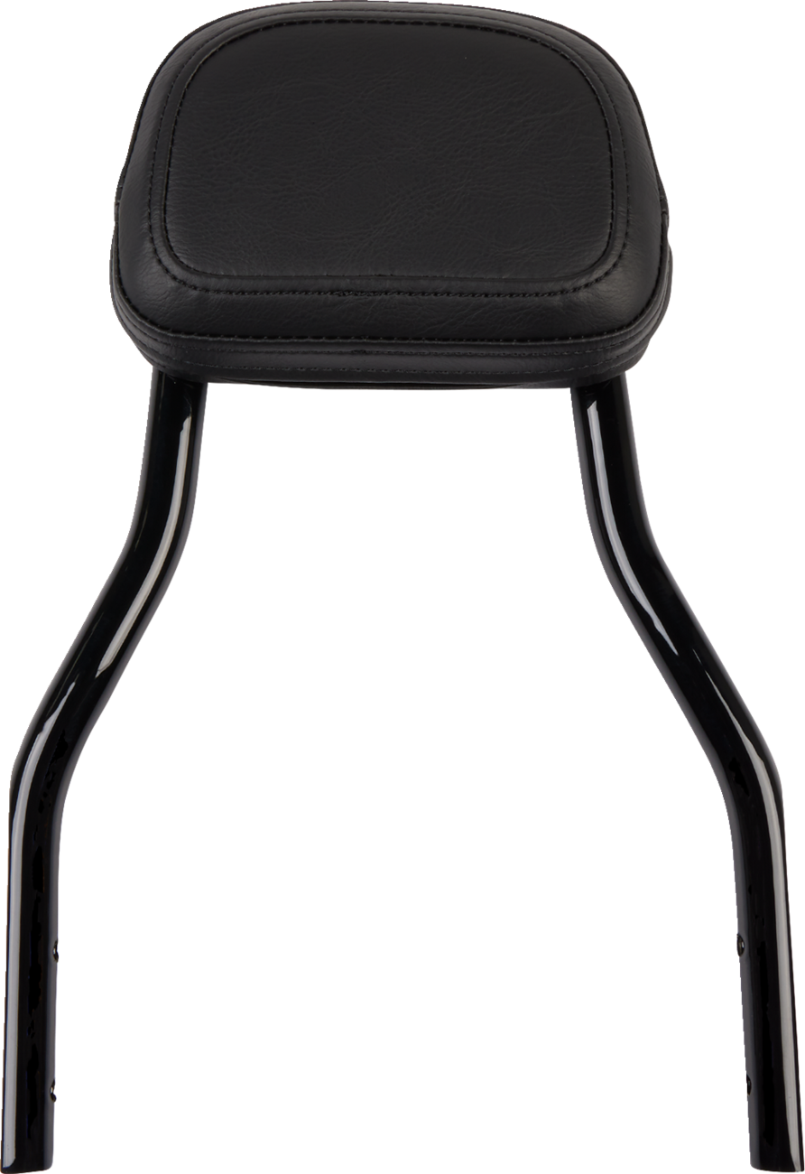 Cobra Backrest Kit