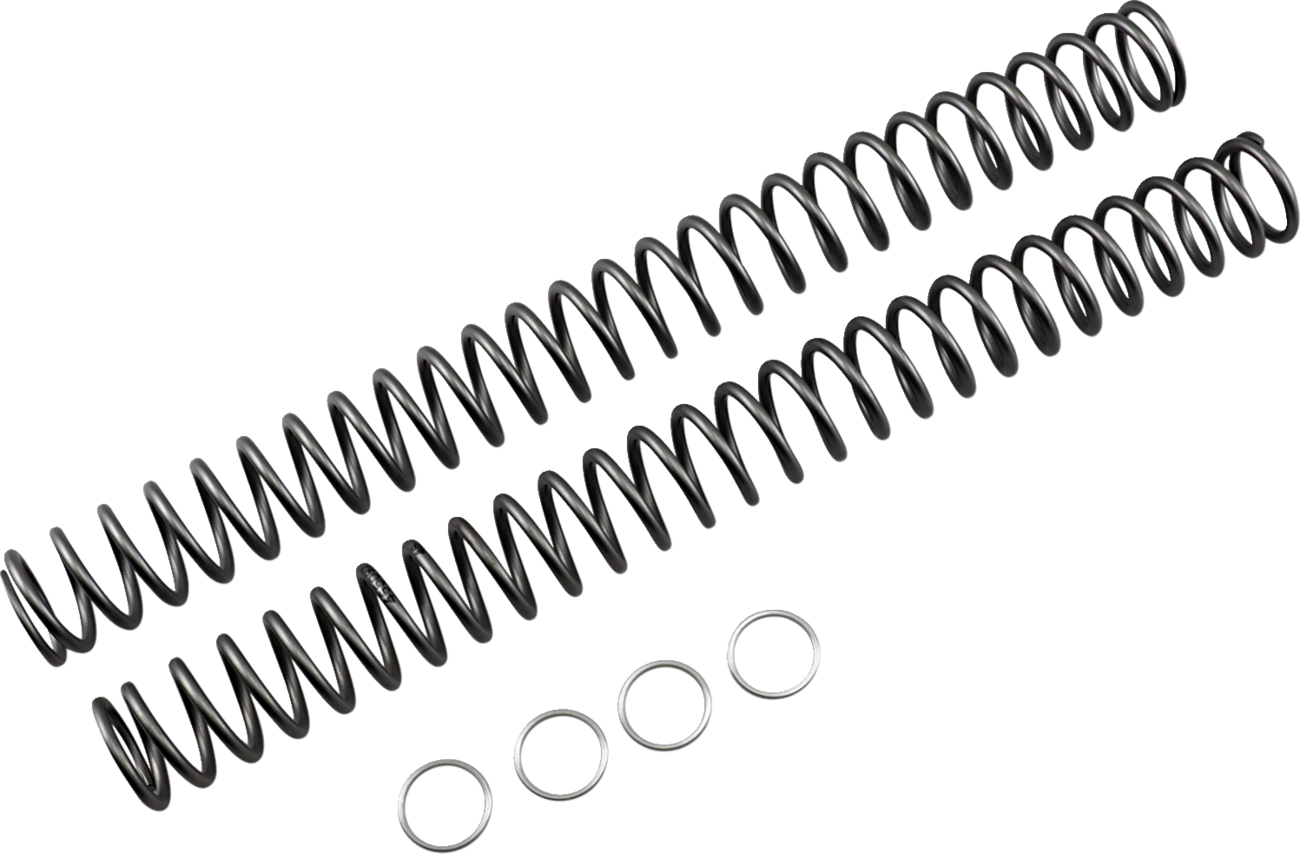 Race Tech Fork Springs