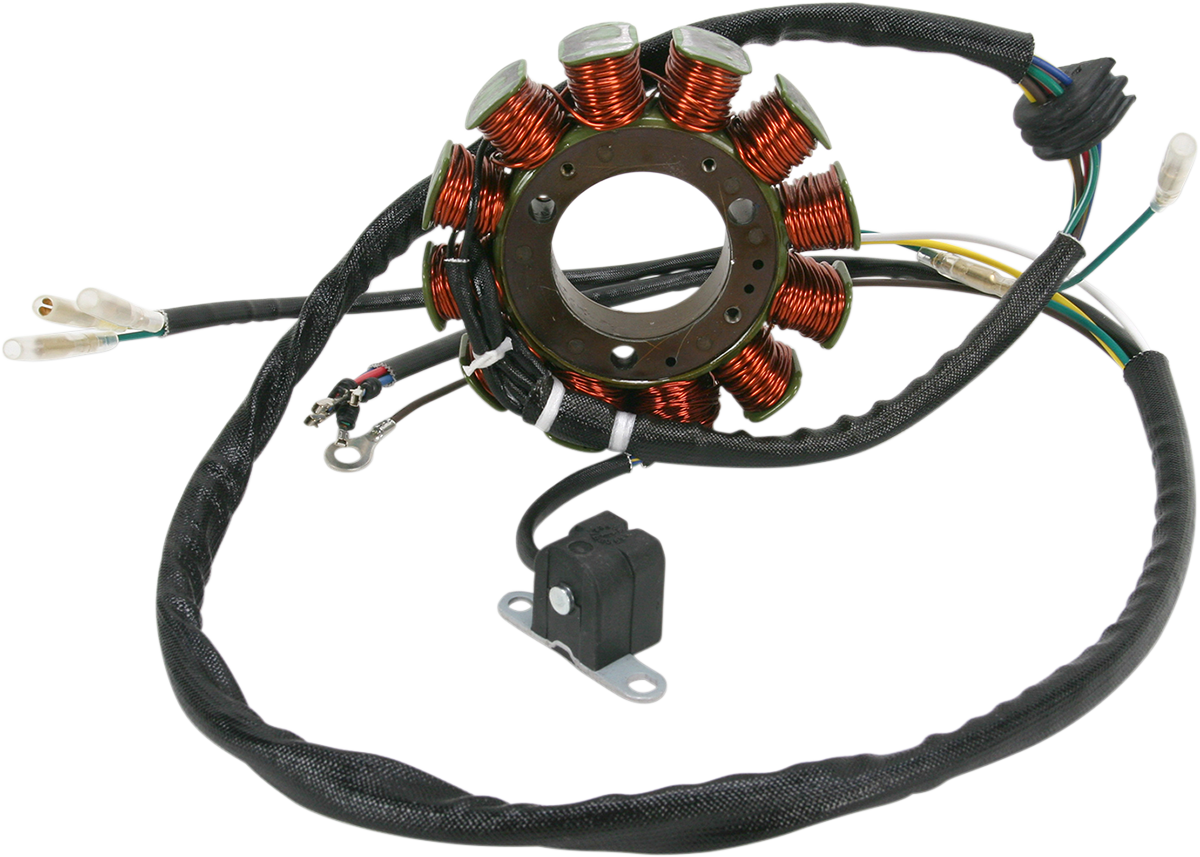 Rick's Motorsport Electric Stator