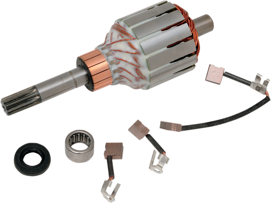 Rick's Motorsport Electric Starter Rebuild Kit