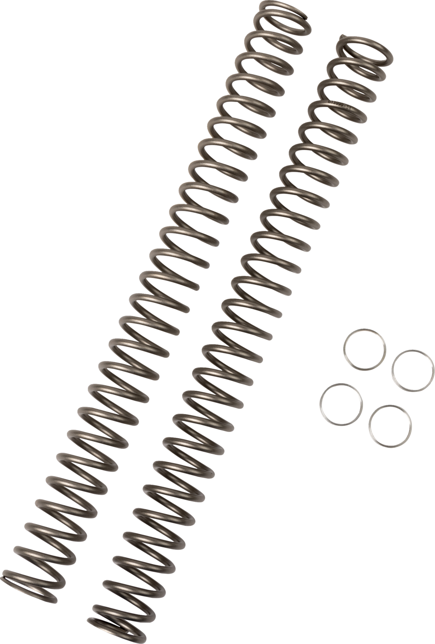 Race Tech Fork Springs