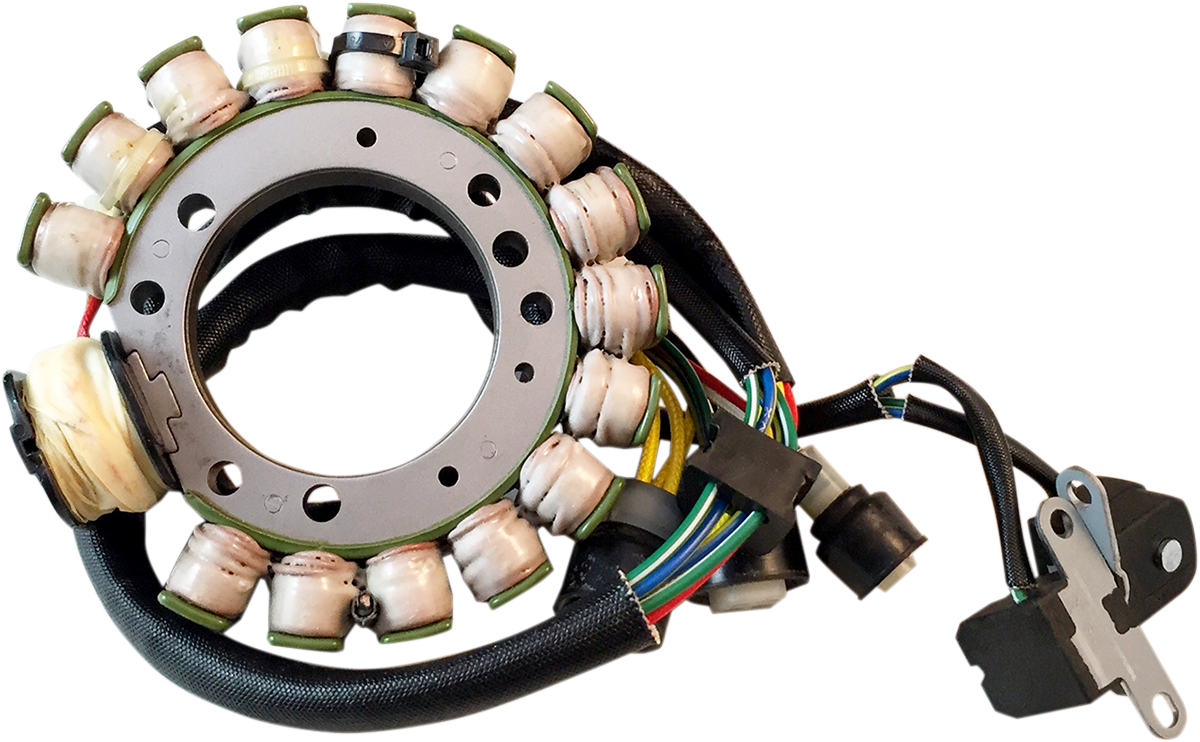 Rick's Motorsport Electric Stator