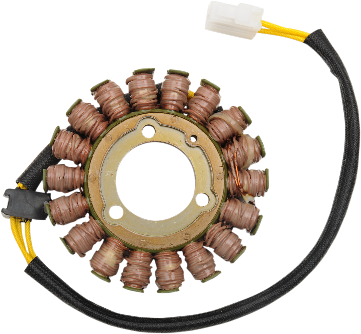 Rick's Motorsport Electric Stator