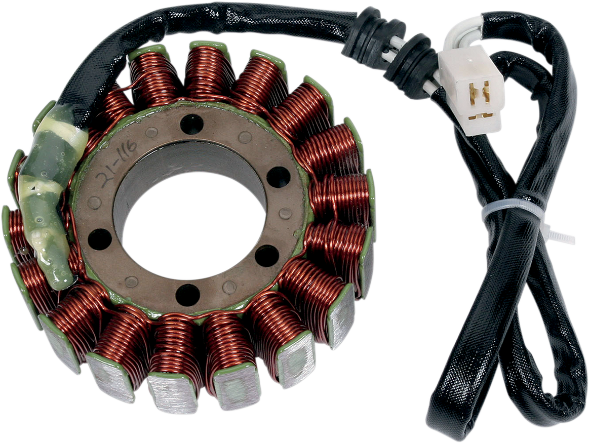 Rick's Motorsport Electric Stator