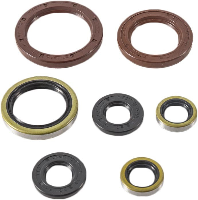VERTEX Oil Seal Kit