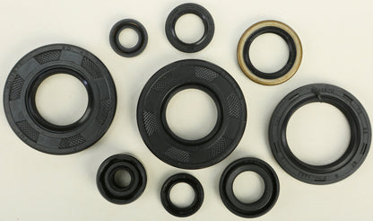 VERTEX Oil Seal Kit