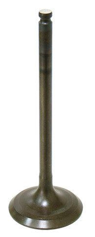 Namura Intake Valve
