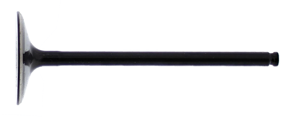 HOT CAMS Intake Valve
