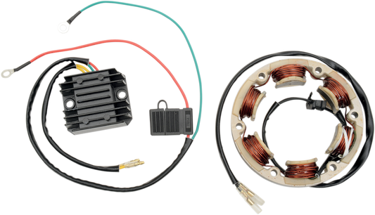Rick's Motorsport Electric High-Output Charging Kit
