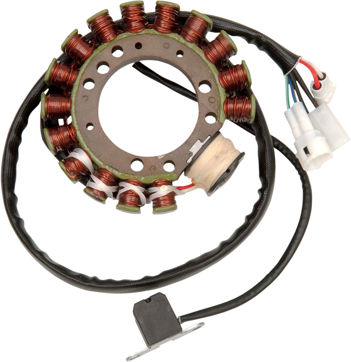 Rick's Motorsport Electric Stator