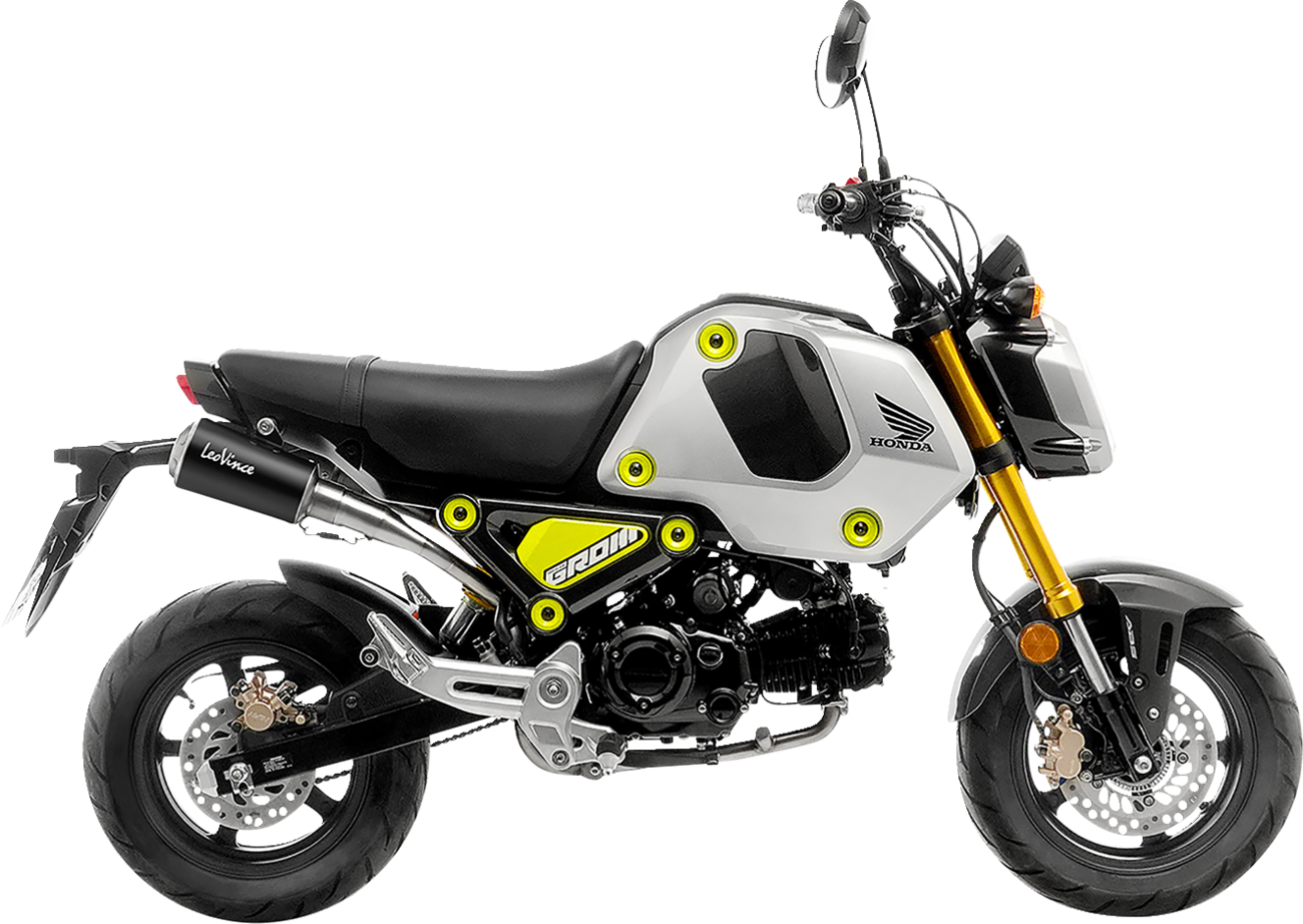 Leovince LV-10 Exhaust