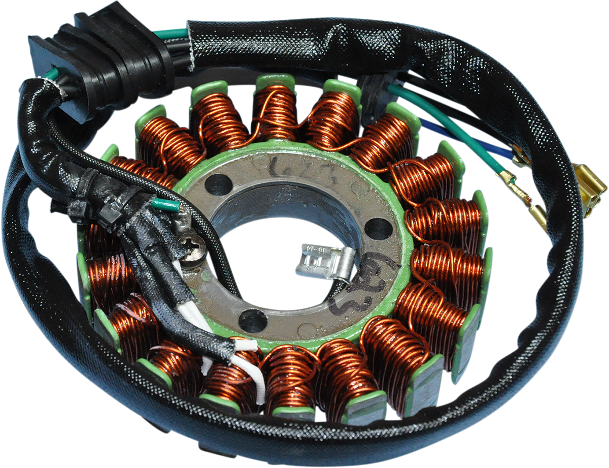 Rick's Motorsport Electric Stator